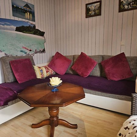 Landhauswohnung Am Thueringer Meer - Fuehlen Wie Zuhause Remptendorf Extérieur photo