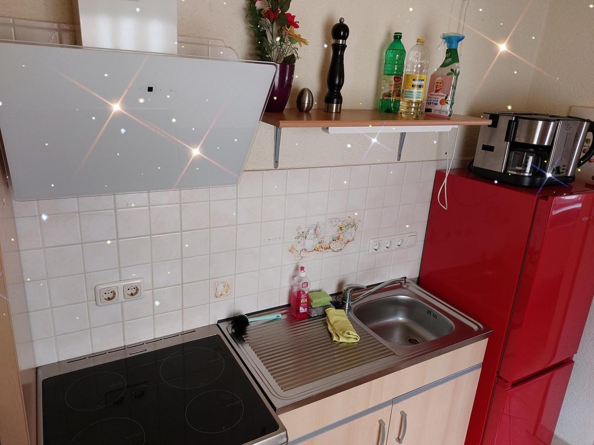 Landhauswohnung Am Thueringer Meer - Fuehlen Wie Zuhause Remptendorf Extérieur photo