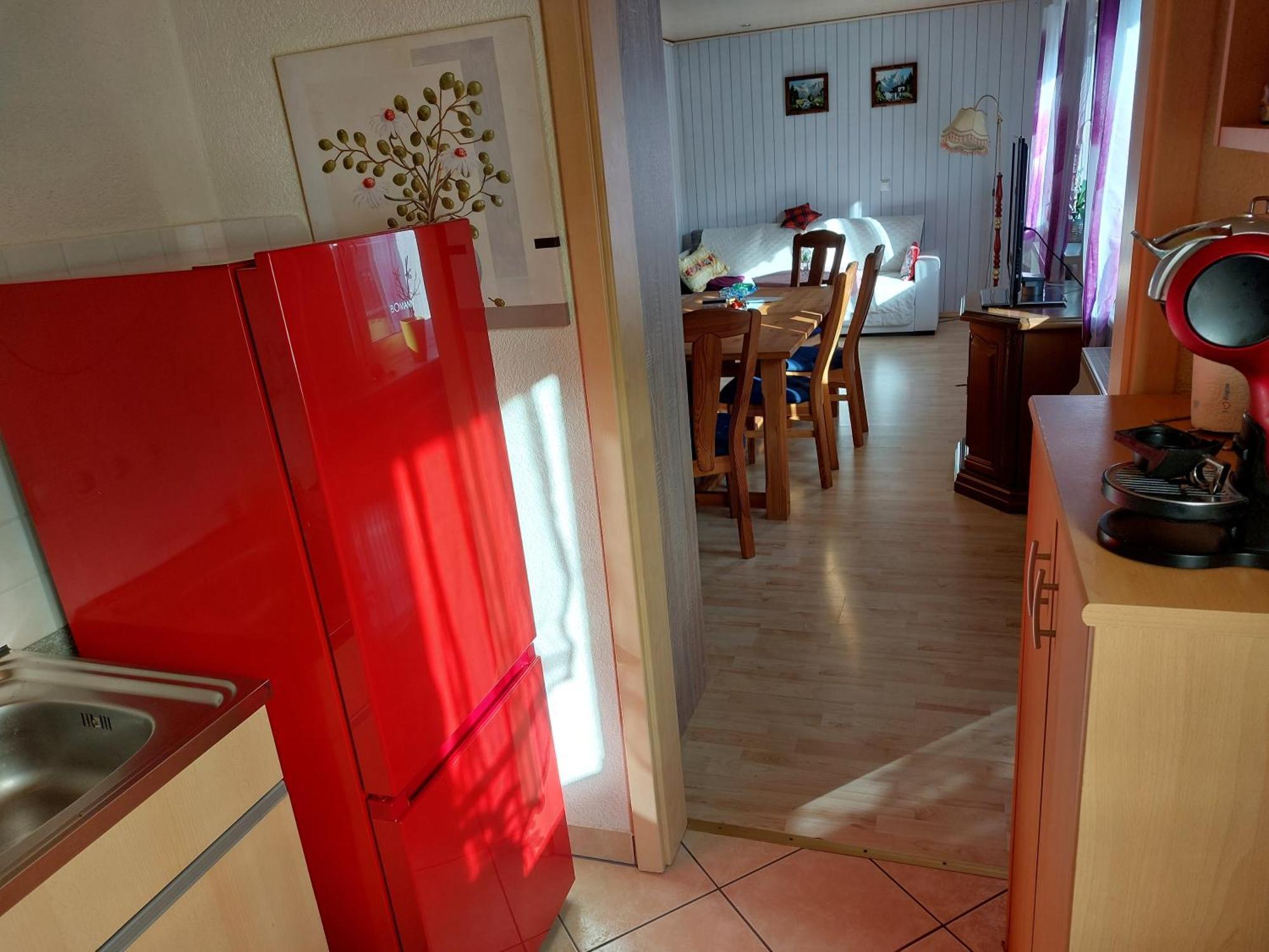 Landhauswohnung Am Thueringer Meer - Fuehlen Wie Zuhause Remptendorf Extérieur photo